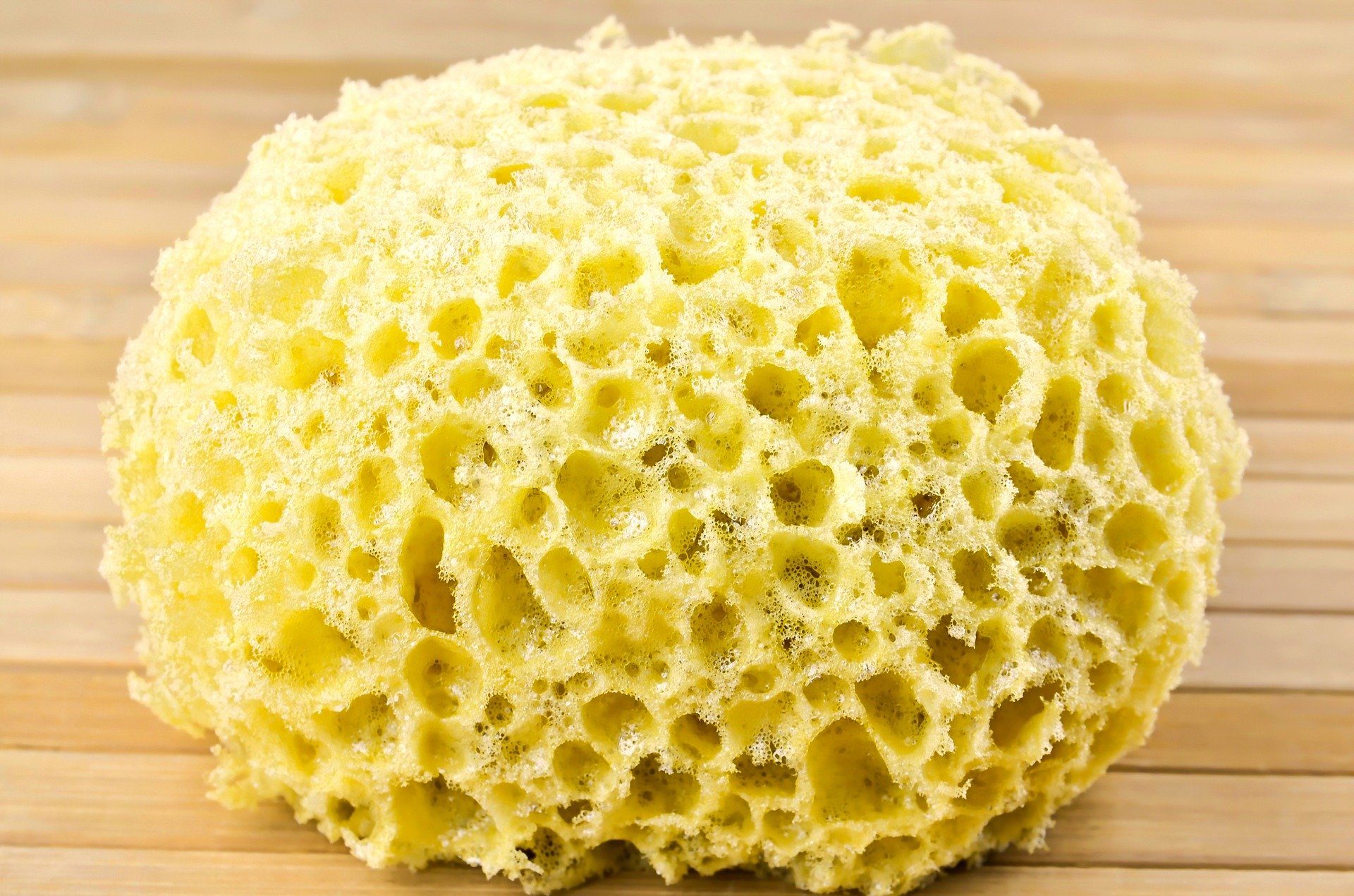Can You Make Your Kitchen Sponge Eco Friendly Get One Of These 7 Sponges For Your Kitchen