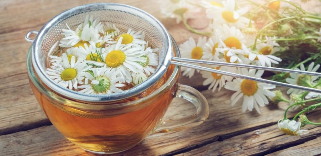 Must-Have Tools for Brewing Tea