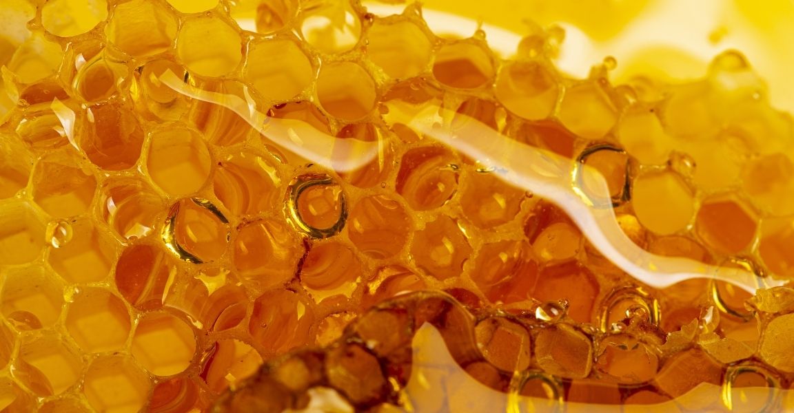 Reasons Why Honey Is the Best Survival Food