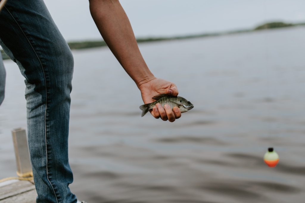 Photo by Kelly Sikkema on Unsplash