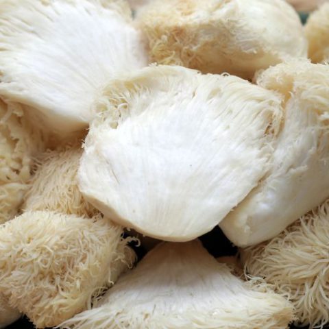 Tips for Preparing Lion’s Mane Mushrooms