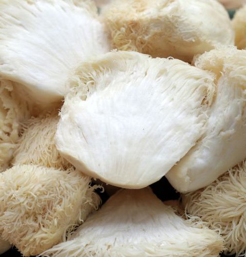 Tips for Preparing Lion’s Mane Mushrooms