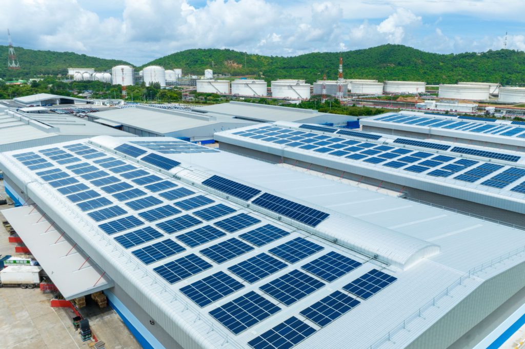 4 Simple Ways Your Company Can Go Greener