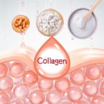 Collagen Creamer - Is Collagen Good for Gut Health?
